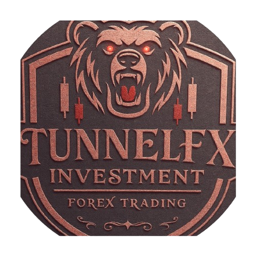Tunnel Fx Investment